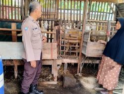 Bhabinkamtibmas Desa Kemantren Polsek Tulangan Tinjau Lahan Peternakan, Dukung Program Ketahanan Pangan Polresta Sidoarjo