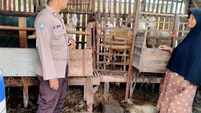 Bhabinkamtibmas Desa Kemantren Polsek Tulangan Tinjau Lahan Peternakan, Dukung Program Ketahanan Pangan Polresta Sidoarjo