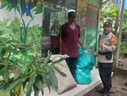 Bhabinkamtibmas Desa Kepuhkiriman Polsek Waru Tinjau Lahan Sayur P2B, Dorong Perawatan Intensif Demi Ketahan Pangan