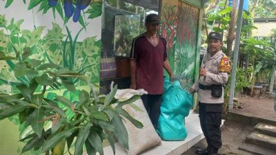 Bhabinkamtibmas Desa Kepuhkiriman Polsek Waru Tinjau Lahan Sayur P2B, Dorong Perawatan Intensif Demi Ketahan Pangan