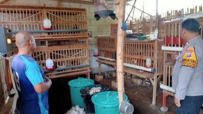 Bhabinkamtibmas Desa Kepunten Polsek Tulangan Dorong Ketahanan Pangan Bergizi Lewat Program P2B