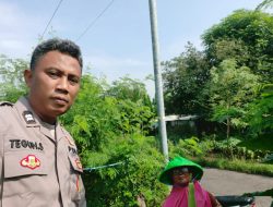 Bhabinkamtibmas Keboguyang Polsek Jabon Dorong Ketahanan Pangan Melalui Pemanfaatan Lahan Pekarangan