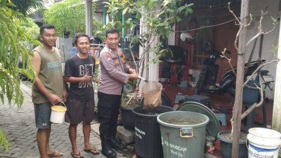 Bhabinkamtibmas Sidokumpul Tinjau Program Ketahanan Pangan Budidaya Ikan Lele