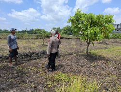 Bhabinkamtibmas Simoketawang Polsek Wonoayu Tinjau Ketahanan Pangan, Dukung Program Asta Cita Presiden Prabowo