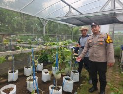 Cek Tanaman Hidroponik, Bhabinkamtibmas Desa Bangah Dukung Swasembada Pangan
