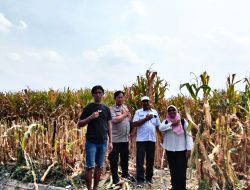 Dukung Asta Cita, Polresta Sidoarjo Sinergi Bersama Petani untuk Swasembada Pangan