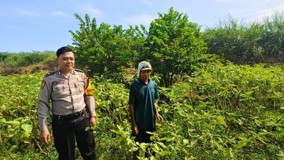 Dukung Asta Cita Presiden Prabowo, Polisi dan Warga Kedungrejo Sinergi Rawat Lahan Pekarangan