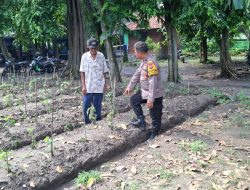 Dukung Ketahan Pangan, Bhabinkamtibmas Randegan Polsek Tanggulngin Tinjau Lahan Pertanian Warga