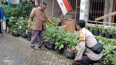 Dukung Ketahan Pangan, Polresta Sidoarjo Tinjau Lahan Produktif Warga di Tanggulngin