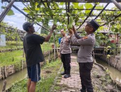 Dukung Program Ketahanan Pangan, Polsek Buduran Intensifkan Patroli Sambang Desa