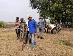 Forkopimka Krembung Bersama Petani Wujudkan Ketahanan Pangan Tanam Bibit Jagung