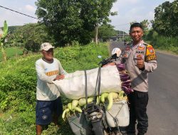 Bhabinkamtibmas Semambung Bantu Petani Wujudkan Ketahanan Pangan Polresta Sidoarjo