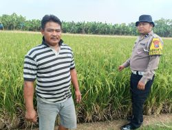 Bhabinkamtibmas Waruberon Sambang Petani Penggerak Ketahanan Pangan