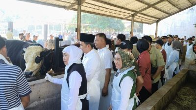 Gubernur Jawa Timur Kunjungi Sentra Peternakan Sapi Qurban Milik Warga di Desa Lojejer