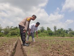 Polresta Sidoarjo Dorong Ketahanan Pangan Desa Lewat Program Polisi Cintai Petani