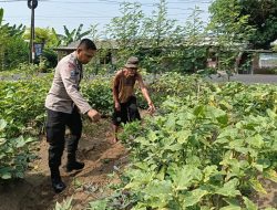 Bhabinkamtibmas Desa Jemirahan Tinjau Lahan Pekarangan, Dukung Ketahanan Pangan Bergizi di Wilayah Jabon