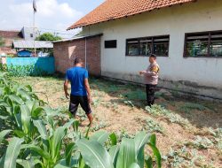 Polresta Sidoarjo Dorong Swasembada Pangan, Bhabinkamtibmas Cek Lahan Semangka di Pangkemiri