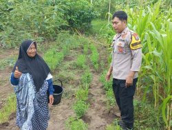 Polresta Sidoarjo Dorong Swasembada Pangan Lewat Program Polisi Cinta Petani di Desa Balongtani
