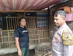 Wujudkan Swasembada Pangan, Kapolsek Tulangan Gerakan Warga Manfaatkan Pekarangan Desa Kedondong