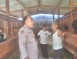 Polri Dorong Ketahanan Pangan, Bhabinkamtibmas Wedoro Polsek Waru Tinjau Budidaya Ternar Kambing di Lahan Fasum