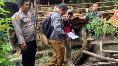 Menjelang Idul Adha, Tiga Pilar Kecamatan Tulangan Tinjau Kesehatan Hewan Kurban Perkuat Ketahanan Pangan