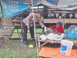 Optimalisasi Pekarangan, Polsek Tanggulngin Dorong Peternakan Mandiri di Desa Kalisampurno