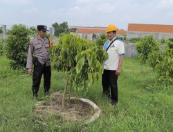 Pemanfaatan Lahan Kosong di Desa Sidodadi Dukung Ketahanan Pangan Nasional