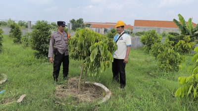 Pemanfaatan Lahan Kosong di Desa Sidodadi Dukung Ketahanan Pangan Nasional