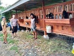 Polisi Aktif di Lapangan Bhabinkamtibmas Cek Pekarangan Ternak Kambing Dukung Ketahanan Pangan Bergizi