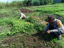 Polisi Cinta Petani, Bhabinkamtibmas Desa Kenongo Polsek Tulangan Dorong Warga Wujudkan Ketahanan Pangan dari Pekarangan