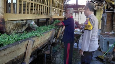Polisi Cinta Petani, Polsek Tulangan Polresta Sidoarjo Dukung Peternakan Lokal di Desa Kemantren