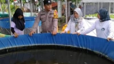 Polisi Dukung Ketahanan Pangan, Bhabinkamtibmas Polsek Waru Sidoarjo Cek Budidaya Ikan Patin di Lahan Fasum
