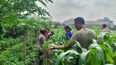 Polisi Gerakkan Warga Ciptakan Ketahanan Pangan Bergizi Lewat Program P2B di Sidoarjo