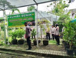 Polisi Peduli Pangan, Bripka Kisom Tinjau Pekarangan Budidaya Sayuran di Sidoarjo