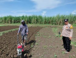 Polisi Peduli Petani, Bhabinkamtibmas Pangkemiri Dampingi Kelolah Pekarangan Pangan Bergizi