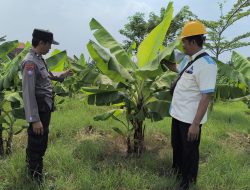 Polresta Sidoarjo Dorong Ketahanan Pangan Lewat Pemanfaat Lahan Desa