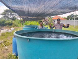 Polresta Sidoarjo Dukung Ketahanan Pangan Lewat Budidaya Lele di Pekarangan Warga