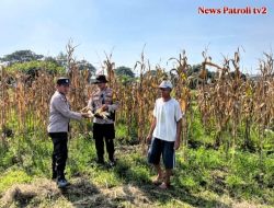 Polresta Sidoarjo Dukung Ketahanan Pangan Nasional dan mewujudkan Asta Cita menuju Swasembada Pangan melalui Program Polisi Cinta Petani