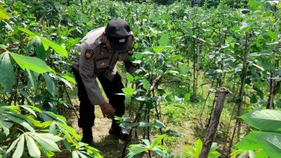 Polresta Sidoarjo Dorong Swasembada Pangan Lewat Pemanfaatan Lahan Pekarangan