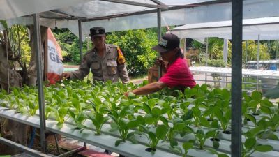 Polsek Candi Motivasi Ketahanan Pangan Lewat Sayur Hidroponik di Desa Gelam