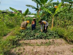 Polsek Gedangan Motivasi Ketahanan Pangan ke Petani Desa Keboananom
