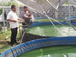 Polsek Krian Dampingi Warga Budidaya Lele, Dorong Ketahanan Pangan Lokal