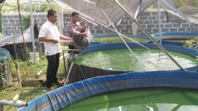 Polsek Krian Dampingi Warga Budidaya Lele, Dorong Ketahanan Pangan Lokal