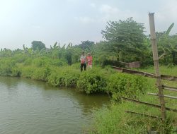Polsek Krian Dorong Ketahanan Pangan Polresta Sidoarjo Melalui Budidaya Ikan Lele di  Desa Kraton