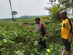 Polsek Prambon Dampingi Petani Terong, Dukung Ketahanan Pangan Polresta Sidoarjo