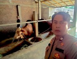 Polsek Prambon Polresta Sidoarjo Dukung Swasembada Pangan Lewat Program Polri Cinta Petani