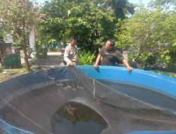 Polsek Sedati Aktif Dukung Ketahanan Pangan di Desa Pranti