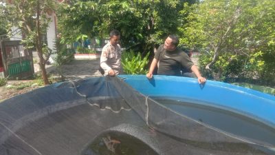 Polsek Sedati Aktif Dukung Ketahanan Pangan di Desa Pranti