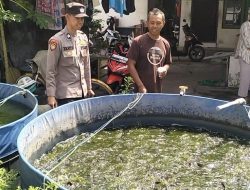 Polsek Taman Tinjau Ketahanan Pangan Budidaya Lele di Desa Krembangan