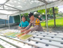 Polsek Taman Tinjau Perkembangan Ketahan Pangan Sayur Hidroponik